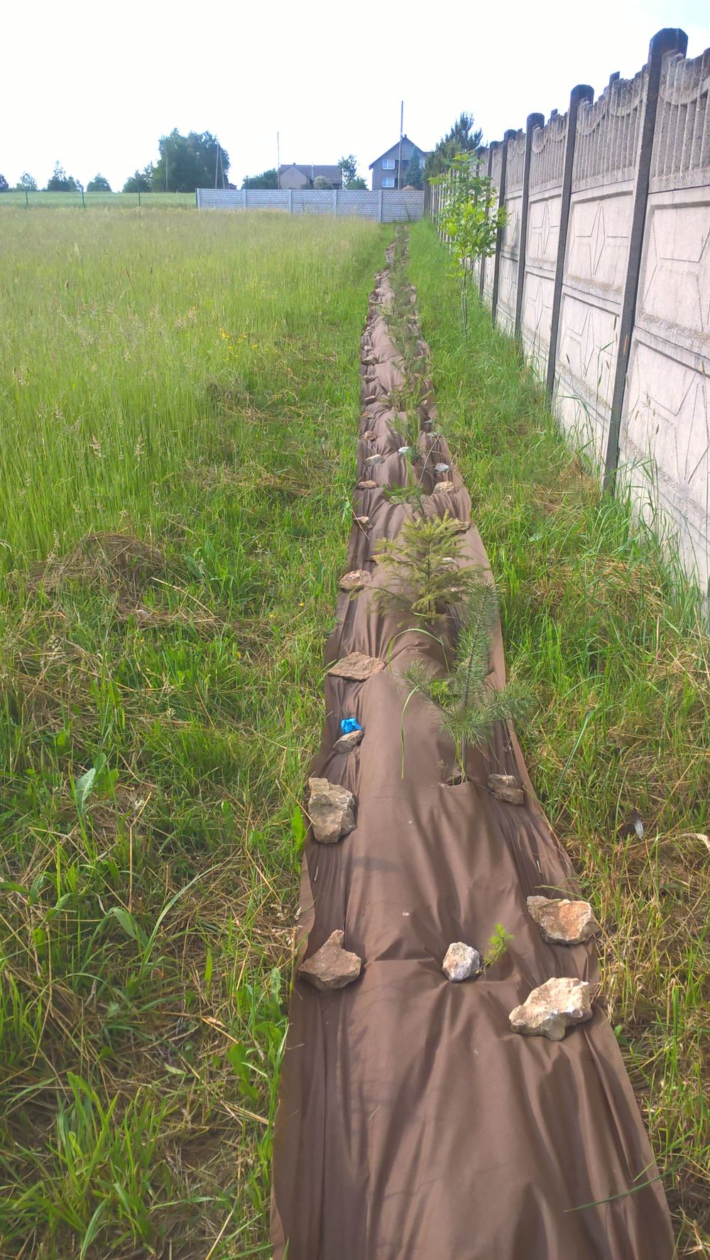 blog budowlany - mojabudowa.pl