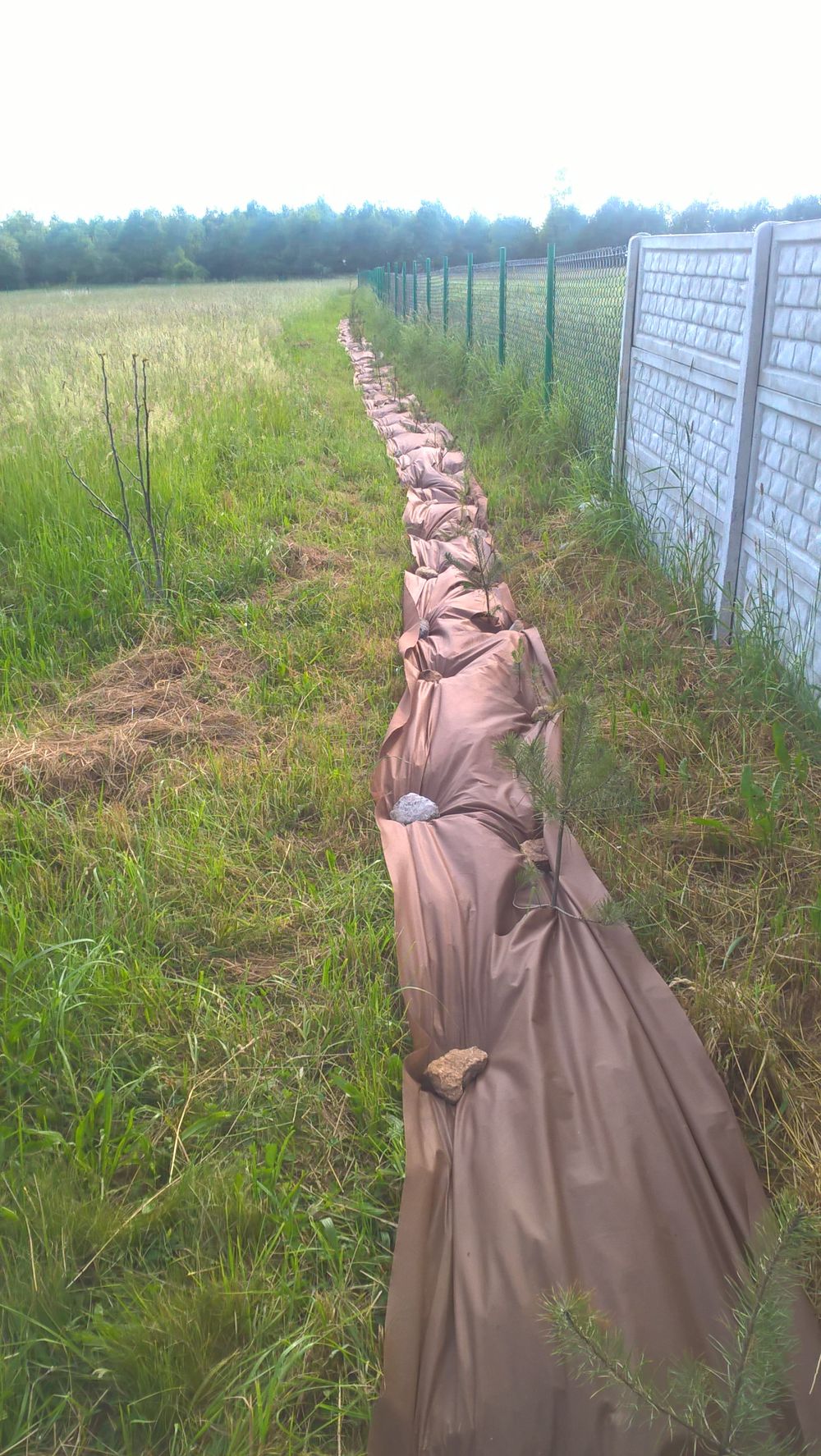 blog budowlany - mojabudowa.pl